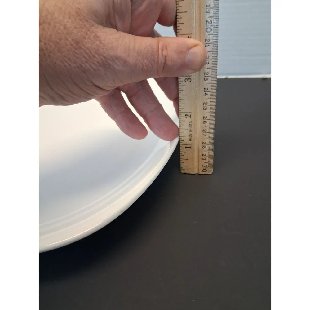 LNT Home dinner plate